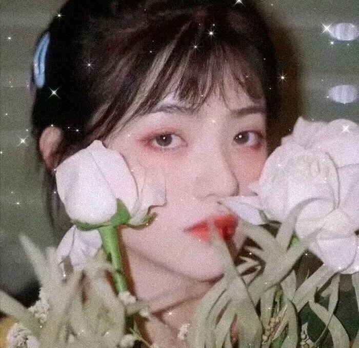 金刀秘卫之婳美人
