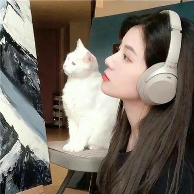 莲花楼